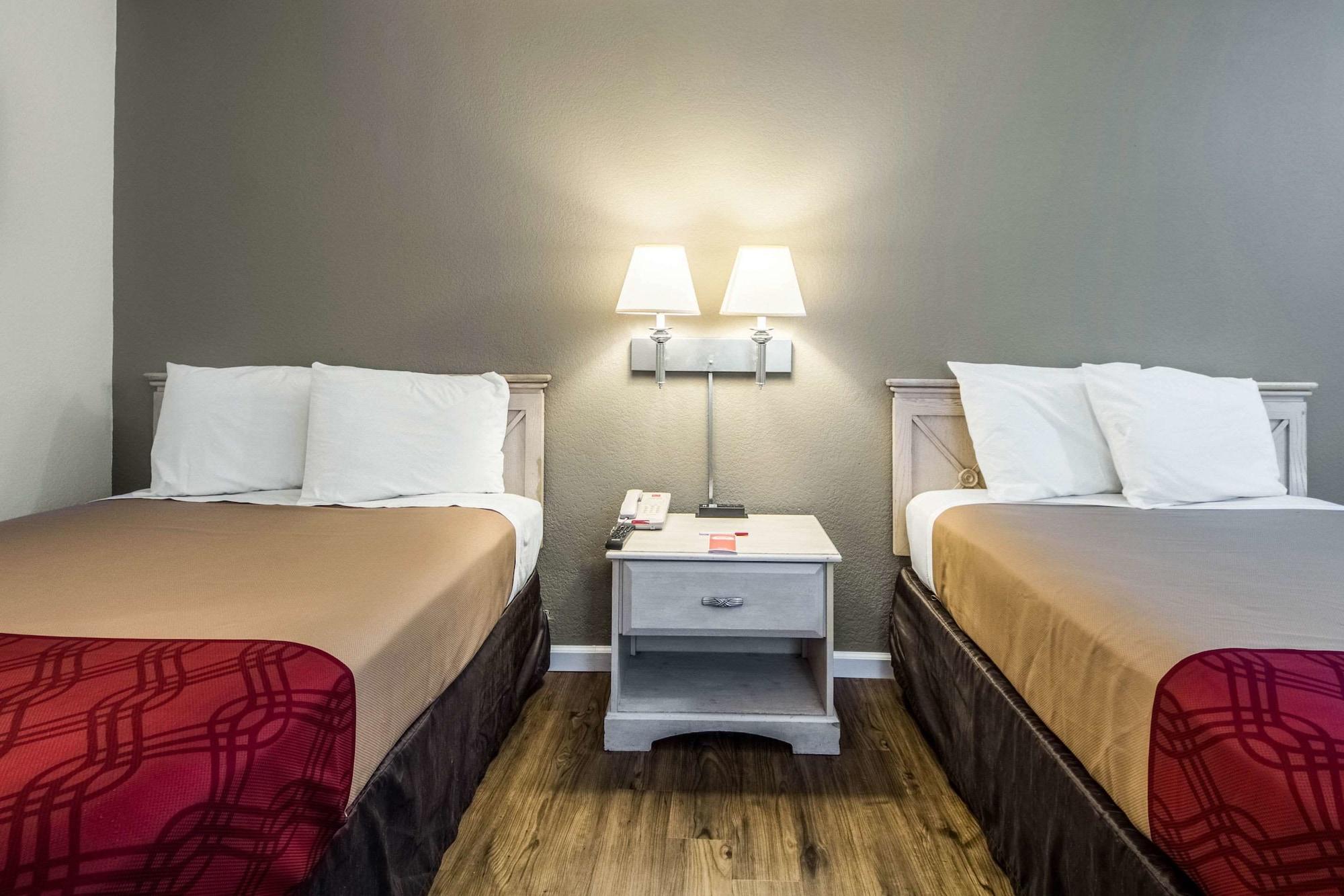 פרמרס בראנץ' Econo Lodge Airport I-35 North מראה חיצוני תמונה
