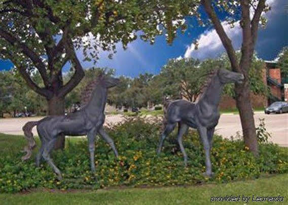 פרמרס בראנץ' Econo Lodge Airport I-35 North מראה חיצוני תמונה